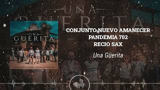 Conjunto Nuevo Amanecer x Pandemia 702 x Recio Sax  Una Güerita 2024 [upl. by Gintz321]