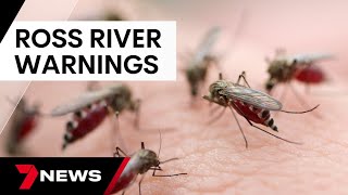 Warnings of Ross River Virus outbreak  7 News Australia [upl. by Acessej988]