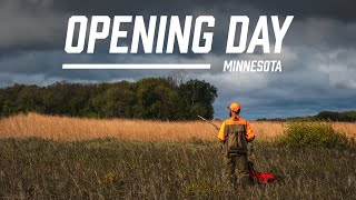 Opening Day  Pheasant Hunting in Minnesota [upl. by Dub92]