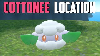 How to Catch Cottonee  Pokémon Scarlet amp Violet DLC [upl. by Ardnoel603]