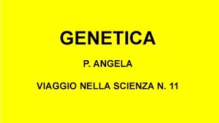 GENETICA Viaggio nella scienza Angela n 11 [upl. by Cad]