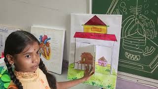 Types of houses model drawing project artandcraft youtubeshorts art ytshorts viralvideo [upl. by Trimble]