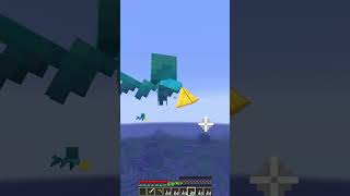 Villager Protection Fence Luck 8989 Moment memes minecraft shorts [upl. by Neroc]