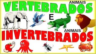 Animais Vertebrados e Invertebrados [upl. by Yerrok]