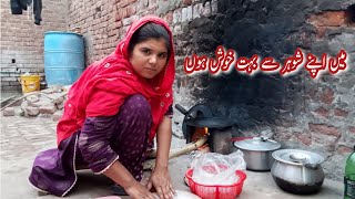 main Apney shohr se bahut khush hun  bano pathani  Pakistani family Vlogs [upl. by Ramso]