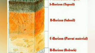 EDAPHIC FACTORS AND SOIL [upl. by Anividul768]