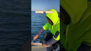 How To Catch Fish Without A Boat LandBased Fishing Techniques [upl. by Makell]