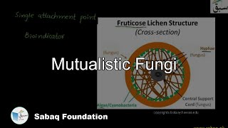 Mutualistic Fungi Biology Lecture  Sabaqpk [upl. by Lalittah]