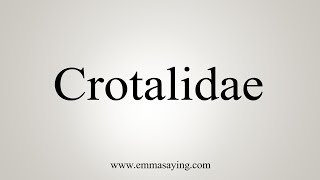 How To Say Crotalidae [upl. by Nojed684]