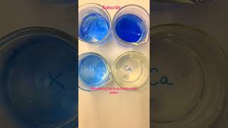 Chemical reaction between various metals and water class10th science chemistryexperiments viral [upl. by Oicram207]