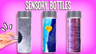 DIY Play Sensory Water Bottles  Fun KidFriendly Science Experiments [upl. by Sima]