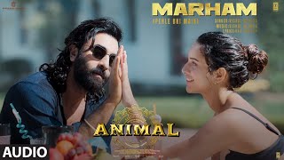 ANIMAL Marham Pehle Bhi Main Audio Ranbir KapoorTripti Dimri SandeepVishal MRaj SBhushan K [upl. by Ynnavoj]