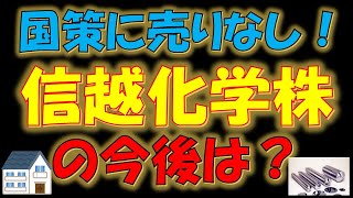 【超優良株！】国策に売りなし！信越化学株の今後は？ [upl. by Esiom]