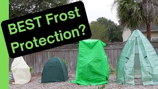 Best Frost and Freeze Protection Bags vs Domes vs Greenhouse [upl. by Vacuva]