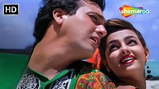 Kitne Dino Ke Baad  Mamta Kulkarni Govinda Hit Love Songs  Alka Yagnik Songs  Andolan Hit Songs [upl. by Aneek]