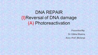 Photoreactivation By Dr Vibha Khanna [upl. by Winnah696]