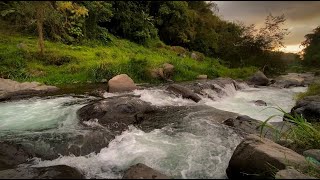 Beautiful Nature Waterfall Sounds Relaxtion Meditation Relaxing Calm River Water flow for Sleeping [upl. by Iram]