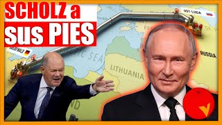 LLEGA EL APACIGUAMIENTO Scholz llama a Putin y abre la caja de los truenos [upl. by Newob416]