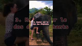 5 pièges que tu dois éviter lors de ton voyage en Thaïlande thailand bankok elephant [upl. by Kcirdlek583]