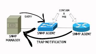 SNMP Operation CCNA Complete Video Course Sample [upl. by Akeihsat]