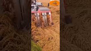 ASTV 5 Agricultural Machines That Work Like Magic [upl. by Nnahteb]