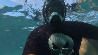 Full Face Snorkel Mask [upl. by Bissell]