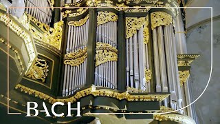 Bach  Fantasia and fugue in G minor BWV 542  Van Doeselaar  Netherlands Bach Society [upl. by Eveam318]