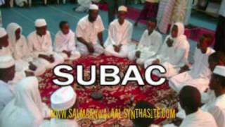 subac somali [upl. by Linzer]