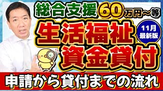 【60万円 生活資金貸付 非課税でなくても申請可能】申請から貸付の流れ 低所得者 高齢者 障害者世帯 生活支援費 就学支援費 保証人不要 免除と生保は利用できる？〈24年11月時点〉 [upl. by Wald]