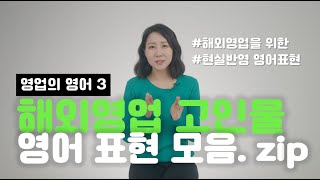 해외영업에서 살아남는 영어 스킬 5분만에 정리함 feat 영업의 영어3 [upl. by Loring606]