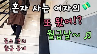 40대 1인가구 중소 여직원의 월급날  월급 공개  이혼브이로그 [upl. by Nayk]