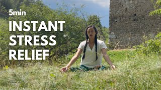 5 Minute Breathwork For Instant Stress Relief  Cyclic Sighing  Physiological Sigh [upl. by Yelac318]