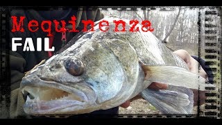 Mequinenza Carpfishing 2018 [upl. by Burg]