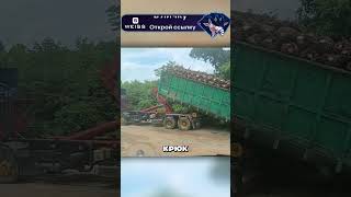 Завораживающая установка кузова на раму грузовика 😮🔥🚚 [upl. by Rosmunda]