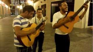 Los muchachos gitanos nos cantan en Sevilla [upl. by Ori670]