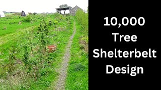 Productive windbreak and shelterbelt design [upl. by Oliver]