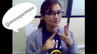 Biologia  Reino Plantae  Gimnospermas 04 de 05  em Libras [upl. by Ellersick240]