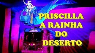 PRISCILLA RAINHA DO DESERTO  Musical Brasil [upl. by Gati]