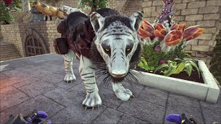 How to tame Homotherium in ark [upl. by Yromem514]