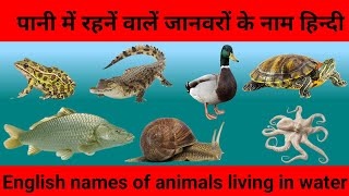 Water Animals Name in English and Hindi  20 पानी में रहने वाले जीवों के नाम  water Animals Name [upl. by Nell]