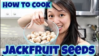 How to Cook Jackfruit Seeds  Easy Steps They are Edible [upl. by Carrnan332]