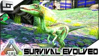 ARK Survival Evolved  COMPSOGNATHUS COMPY TAMING S2E77  Gameplay [upl. by Silyhp]