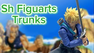 Sh Figuarts Trunks Boy from the Future review Ft FlowyPowy and SweetGem3581 [upl. by Jephthah]