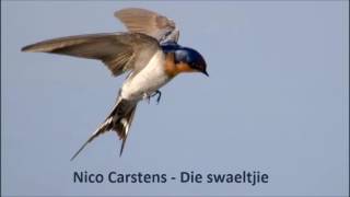 Nico Carstens  Die swaeltjie [upl. by Edmanda]