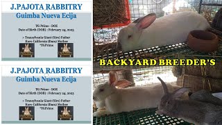 TG Prime Breeder with Kits JPajota Rabbitry [upl. by Ralaigh]