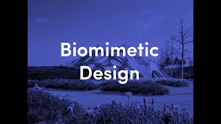 Biomimetic Design  urbanNext Lexicon [upl. by Aholah]