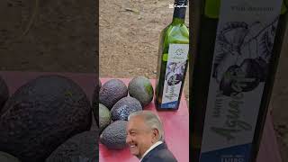 Al Presidente le gustan los aguacates de Michoacán cotidiano399 [upl. by Loris918]