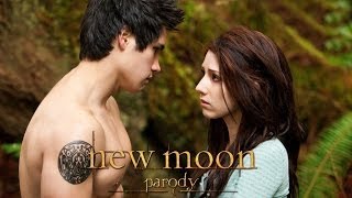 New Moon Parody by The Hillywood Show™ [upl. by Thais]