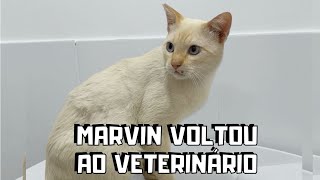 MARVIN VOLTOU AO VETERINÁRIO [upl. by Adebayo990]