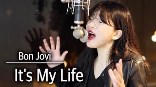 5 key up Its my life Bon Jovi cover  bubble dia [upl. by Uht340]